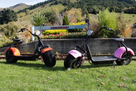 Little Rail Trail Christchurch Day Trips