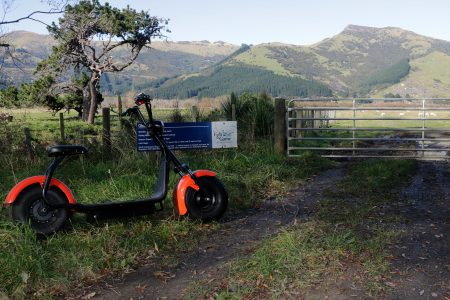 Little Rail Trail Christchurch Day Trips